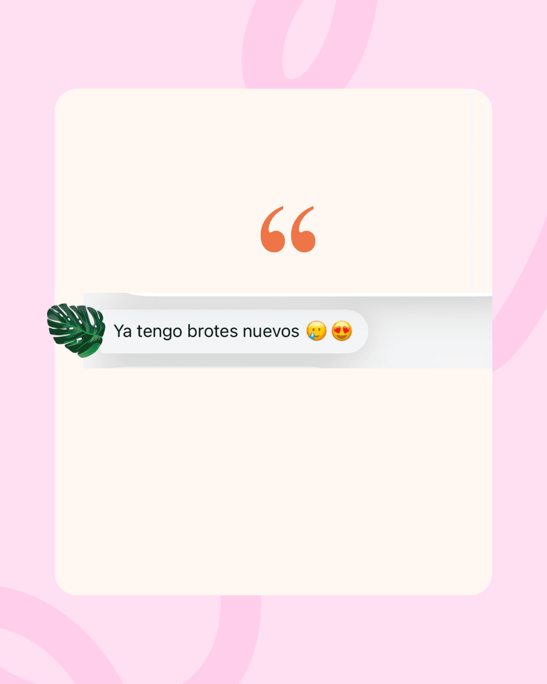 Testimonio 5
