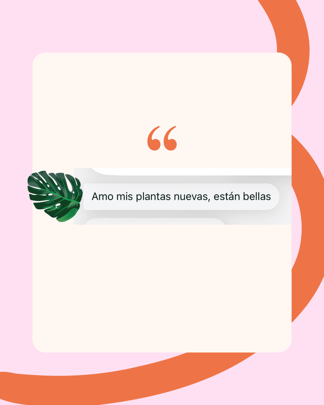 Testimonio 6